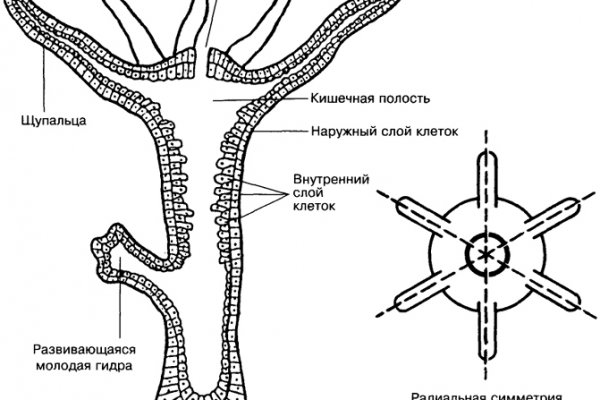 Сайт тор кракен